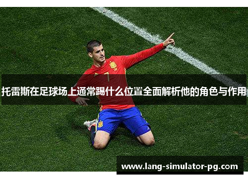 托雷斯在足球场上通常踢什么位置全面解析他的角色与作用 托雷斯在足球场上通常踢什么位置全面解析他的角色与作用