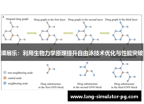 潘展乐：利用生物力学原理提升自由泳技术优化与性能突破